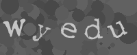 Bitte die Buchstaben des captcha Bildes im Eingabefeld eintippen