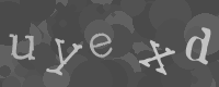 Bitte die Buchstaben des captcha Bildes im Eingabefeld eintippen