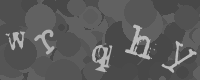 Bitte die Buchstaben des captcha Bildes im Eingabefeld eintippen