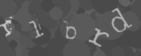 Bitte die Buchstaben des captcha Bildes im Eingabefeld eintippen